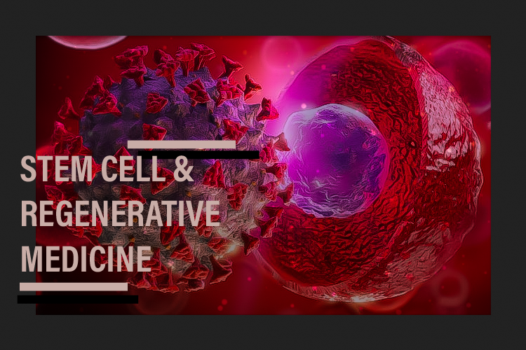 干细胞（stem cell）与再生医学